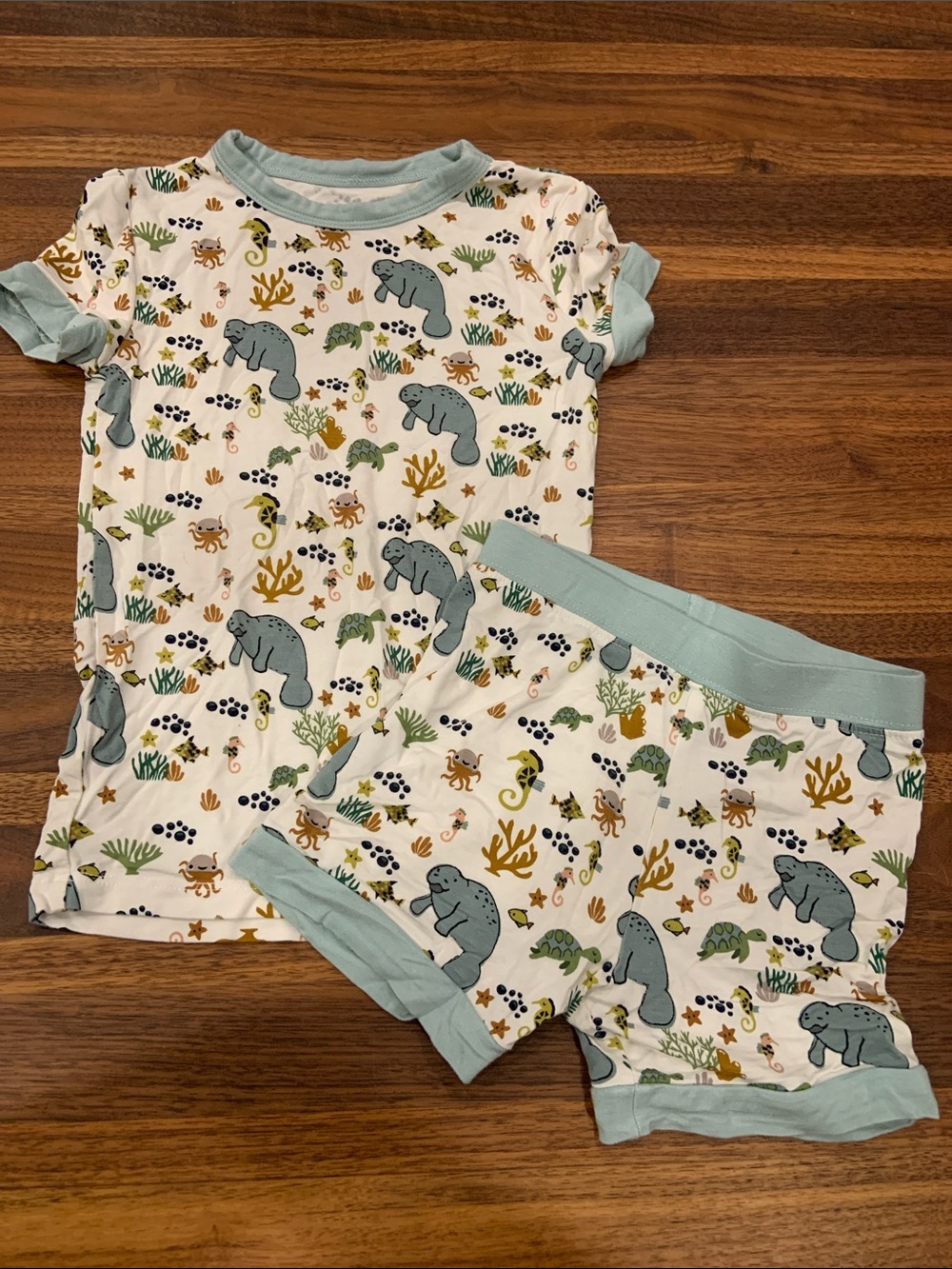 Emerson and Friends Manatee Two-Piece Bamboo Pajama Shorts Set 2T Like New